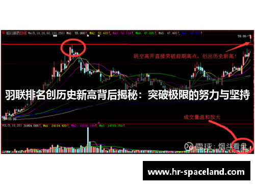 羽联排名创历史新高背后揭秘：突破极限的努力与坚持