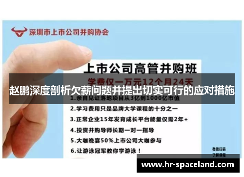 赵鹏深度剖析欠薪问题并提出切实可行的应对措施